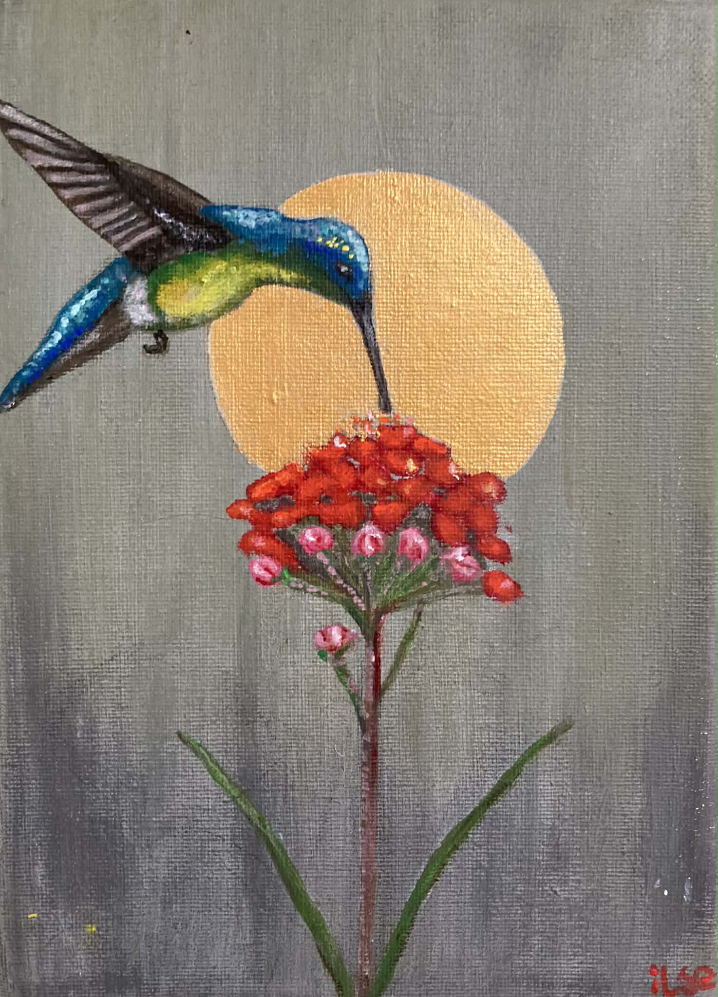 Schilderij: Kolibrie bij de bloem