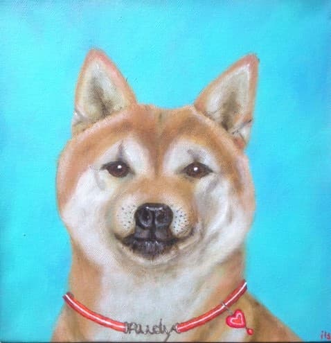 Schilderij: Rudy de Shiba Inu