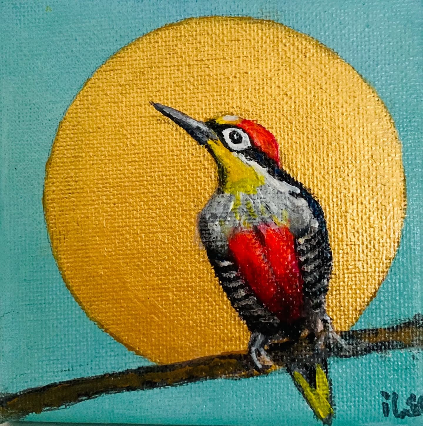 Schilderij: Specht in de zon