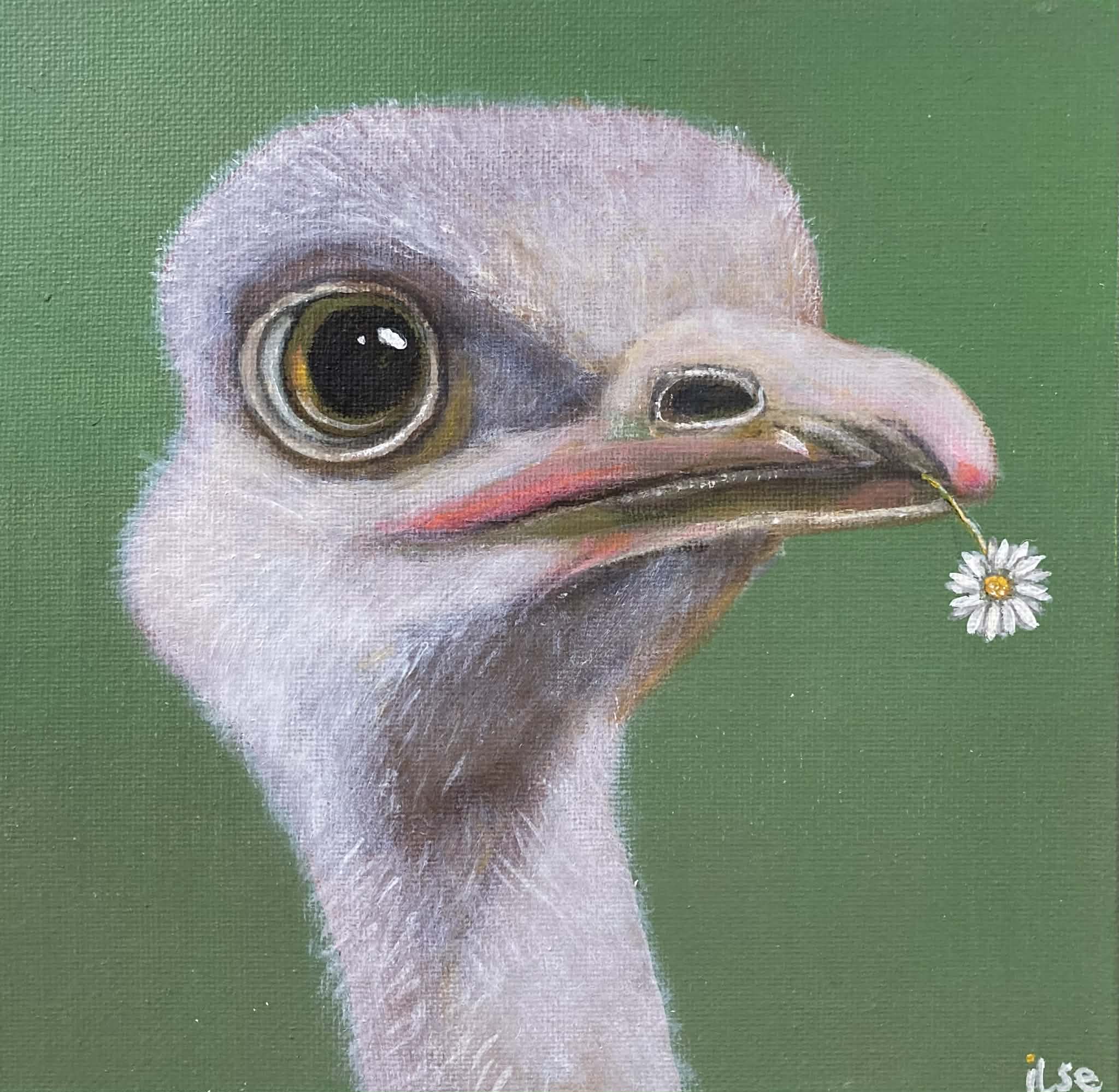 Schilderij: Struisje met madelief