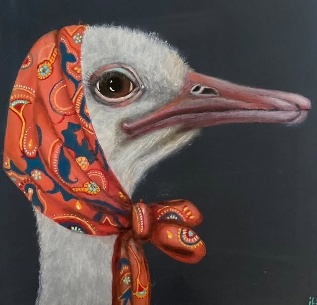 Categorie Vogels, voorbeeld: Struisvogel met sjaal